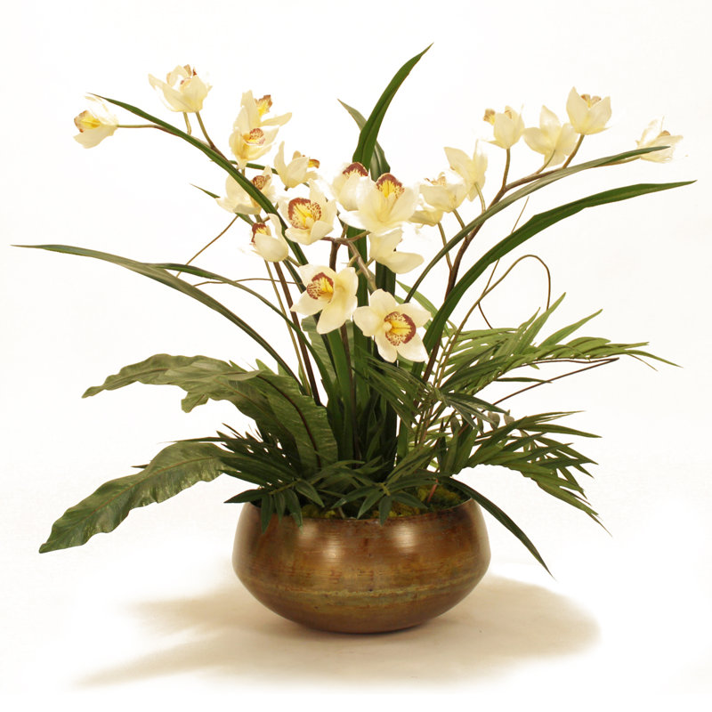Orchid Floral Arrangement in Planter