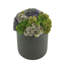 Faux Succulent Plant in Fiberstone Planter-2044098633-2044098632-2065890681