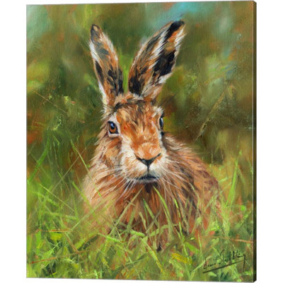 «Hare 2» par David Stribble - peinture sur toile tendue