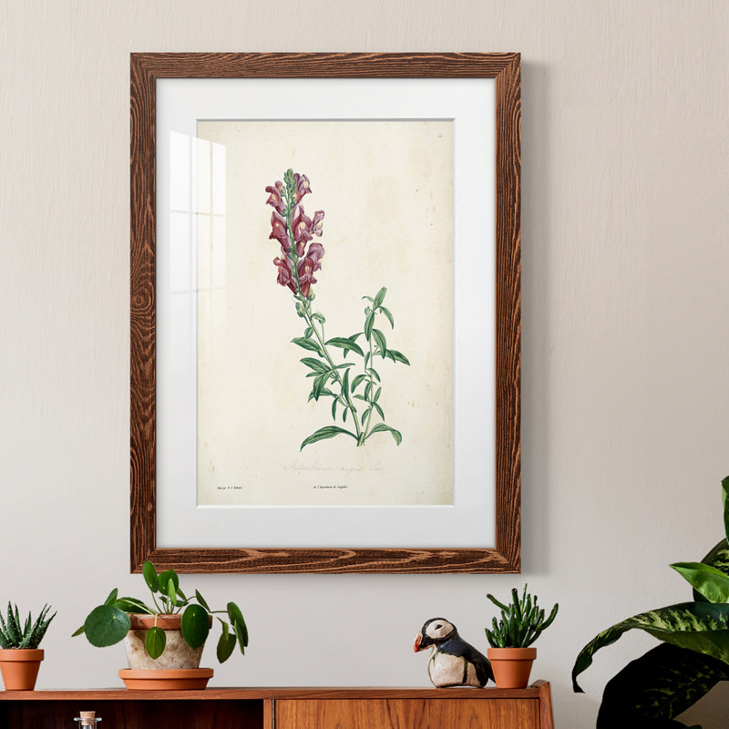 " Traditional Botanical I ", Maple, 38" H x 28" W x 1" D
