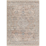 Everly Oriental Light Orange/Blue Area Rug