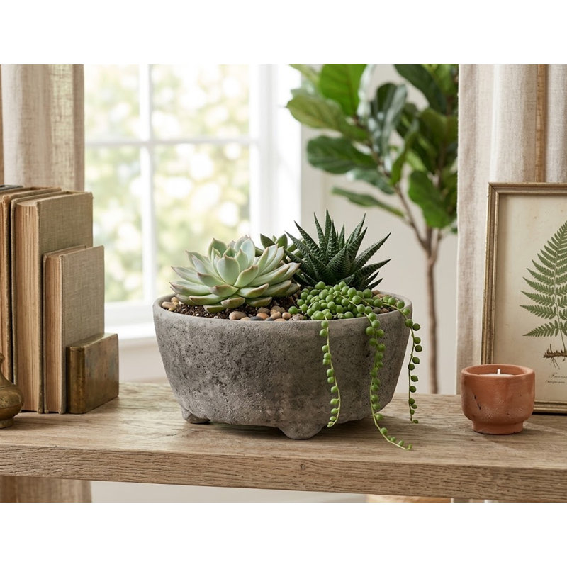 Rustic Stone Ceramic Bowl Planter