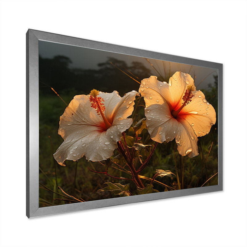 Hibiscus Field With Sunset II - Floral Canvas Art Print, H 34 po x l 44 po x P 1,5 po, Cadre photo argenté
