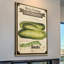 " Seed Packet Pickle " by Marmont Hill-16158550