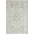 Oriental Indoor Rug-1195768312
