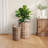Assisi Handmade Pot Planter
