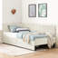 Lit simple réglable beige avec 2 tiroirs de rangement, rembourré pour la chambre à coucher, design moderne, assise confortable, lit en velours convertible en eucalyptus et cadre, surface douce, renforcé