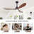 52'' 3 - Blade Classic Propeller Ceiling Fan With Remote Control And LED Light Included