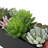 5'' Faux Succulent Plant in Wood Planter