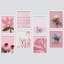 Cygne rose, flamant rose, botanique, fleur, rose, Monstera, formes abstraites encadrées sur papier, impression de 8 pièces-92573547-92573548