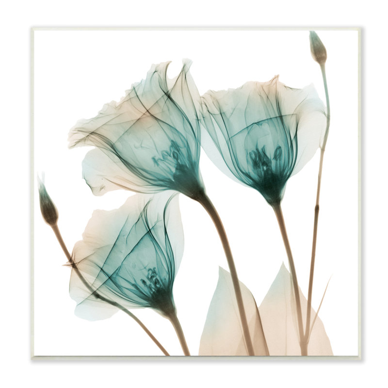 «Spring Tulip Florals», plante translucide, photographie encadrée sur blanc, art texturé par Albert Koetsier, Plaque de bois