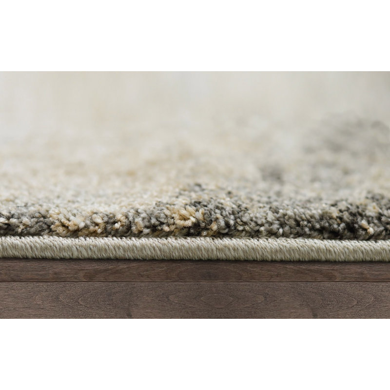 Indoor Rug