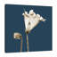 «Blue Luster Gloxinia», impression sur toile tendue-23605002