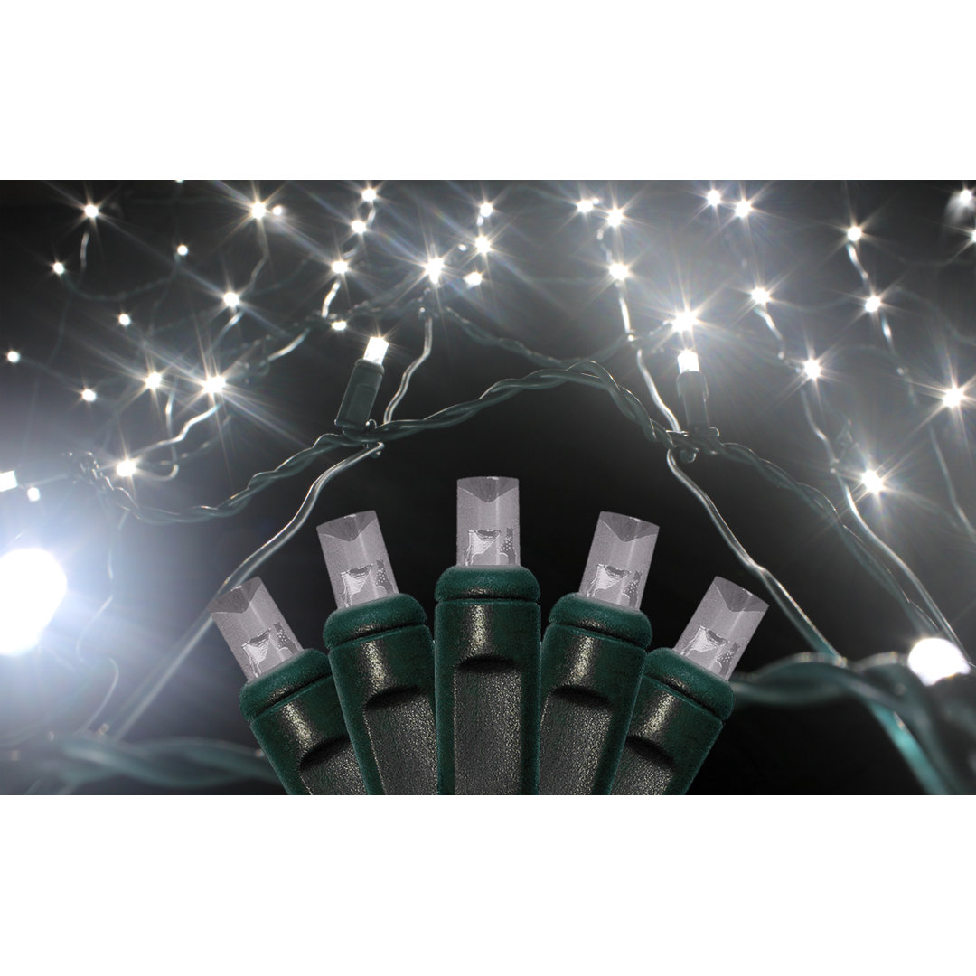 Minilights 150 Light Net Light The Holiday Aisle® Bulb 