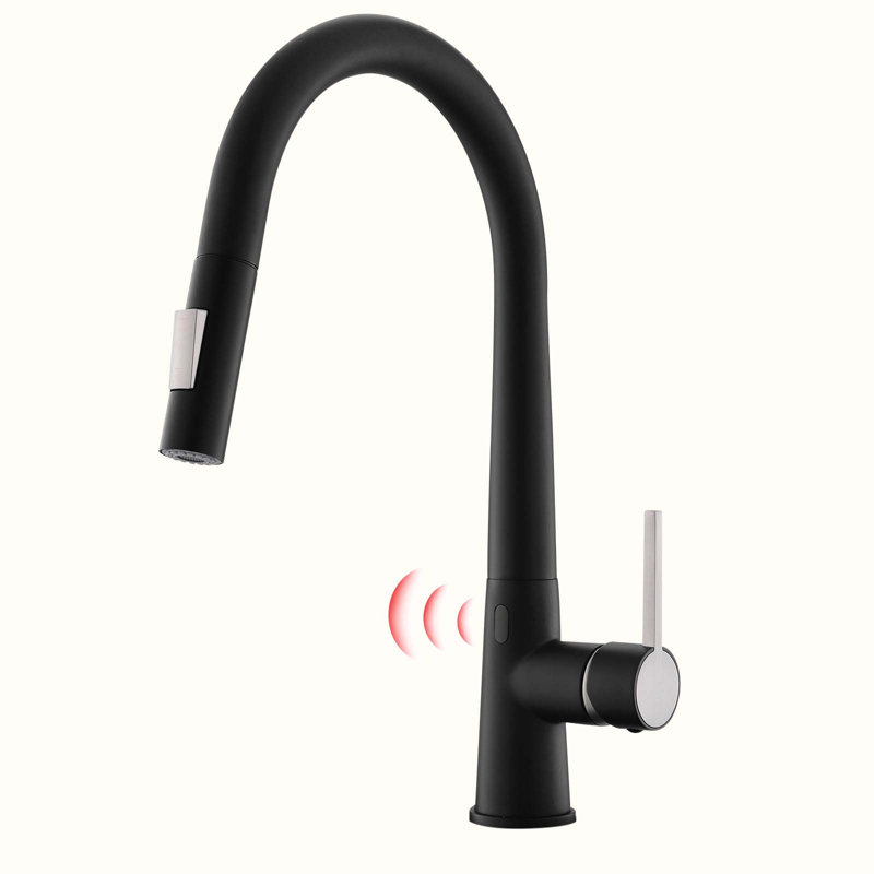 HOOSENG Pull Down Touchless Kitchen Faucet, Matte Black