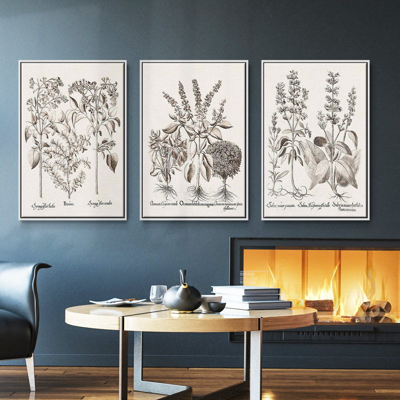 Sépia Besler Botanicals I 3 pièces, Blanc, H 27 po x l 54 po