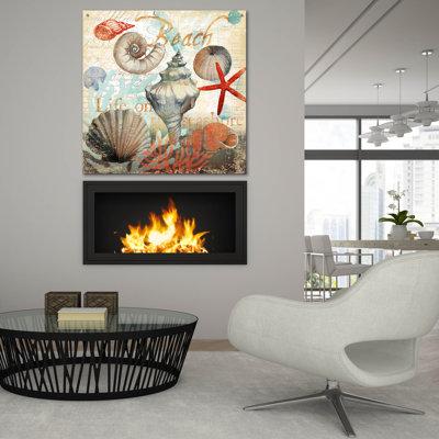  «Shell Collector1» par Art Licensing Studio, art mural en verre acrylique, 36 po x 36 po