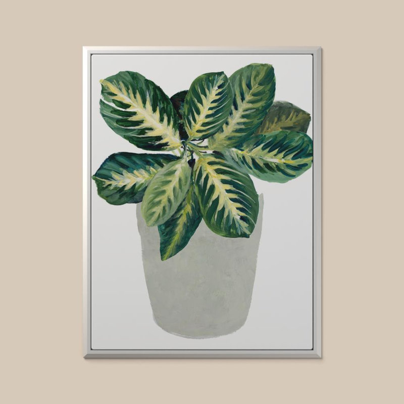 «Prayer Plant II» par Sundance, impression sur toile, H 48 po x l 36 po, Beveled Floating Frame, Blanc