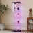 Tempered Glass Display Cabinet