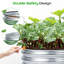 Planter-174096050