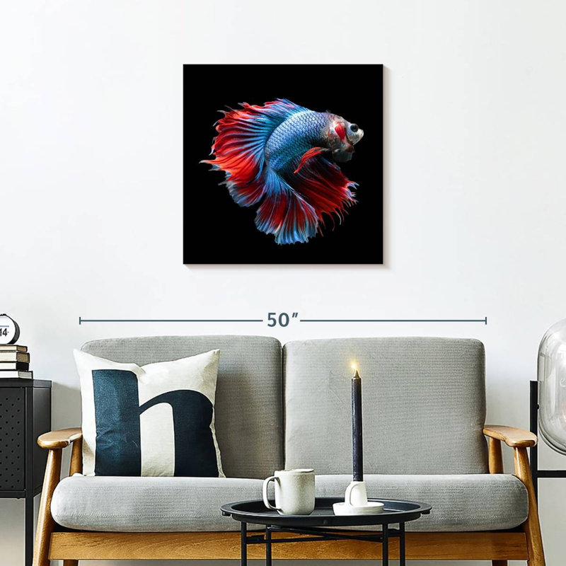 Brampt Blue And Red Betta Fish, 24" H x 24" W