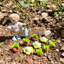Greenhouse and Garden Dollhouse Furniture