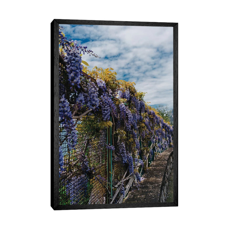 Amalfi Coast Blooms III by Bethany Young - Print on Canvas, 101.6cm H x 66.04cm W x 3.81cm D, Black Framed