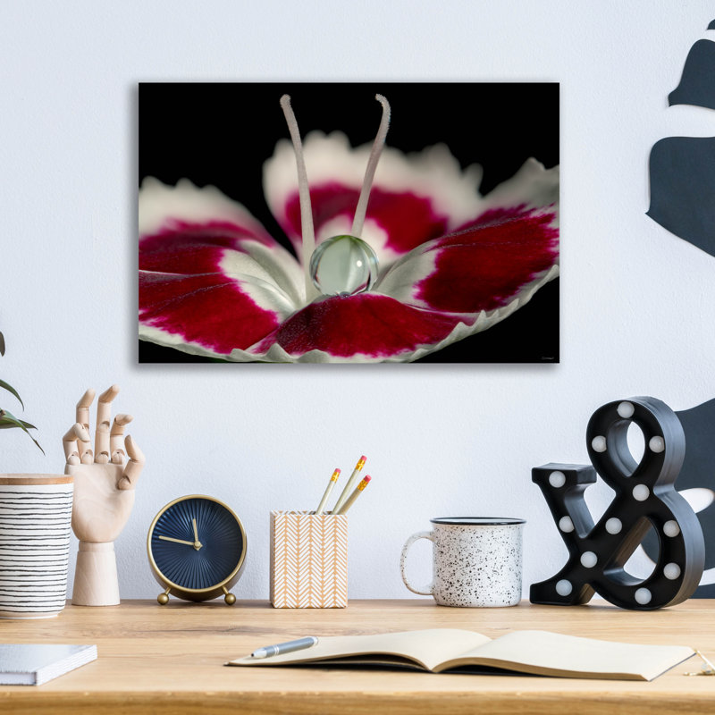 «Macro Flowers 12» par Gordon Semmens, H 12 po x l 16 po x P 0,13 po