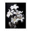 Cleante - Plumeria Modern Wall Clock-246214376