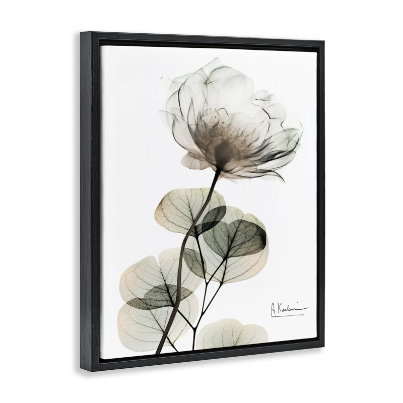 Cadre simple et élégant avec fleurs blanches flottantes, design par Albert Koetsier, Cadre flottant noir de jais
