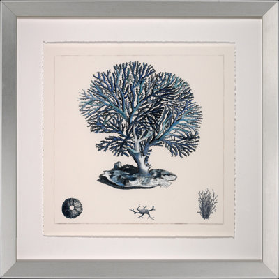 Blue Coral III Print