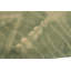 Tapis vert touffeté à la main Jandra