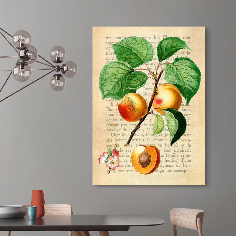 Apricot, After Redouté by Remy Dellal - Wrapped Canvas Art Prints, 70cm H x 50cm W x 4cm D