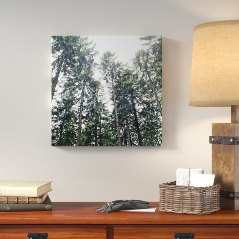 «Up in the Woods», reproduction de photo sur toile tendue, H 24 po x l 24 po x P 1 po, Papier d'art encadré noir, Blanc