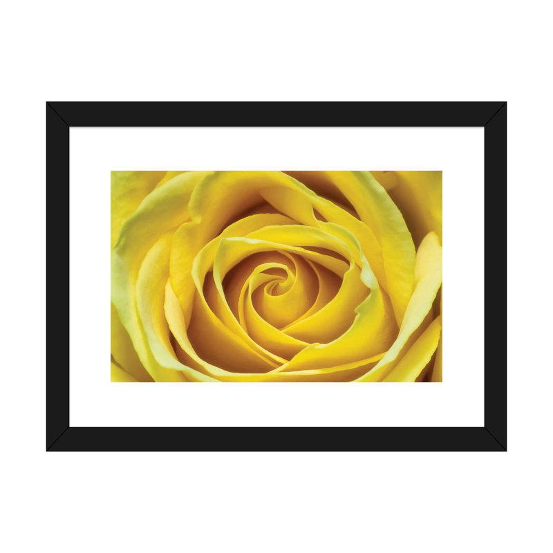 Jaune rose par Glauco Meneghelli-impression, H 16 po x l 24 po x P 1 po, Papier encadré noir, Blanc