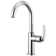Litze® Bar Faucet with Arc Spout and Industrial Handle