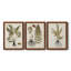 Fern Botanical IV - Ensemble de 3 peintures sur toile encadrées-1362442889-1362442893