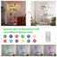 Tempered Glass Display Cabinet-1983238854