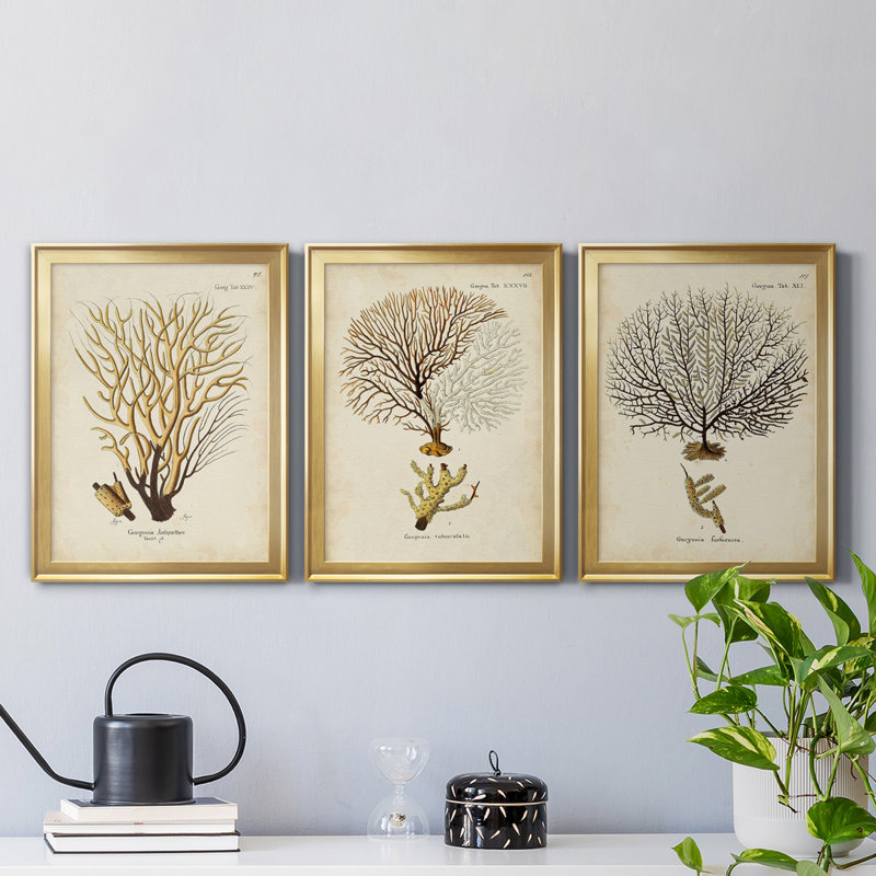 Esper Sea Fans IV - ensemble de 3 peintures sur toile encadrées, Doré, H 18,5 po x l 73,5 po x P 1,5 po