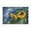 Impression d’art graphique sur toile