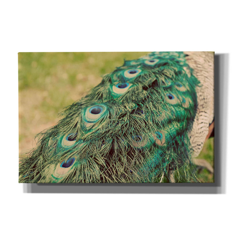 Peacock Feather Tail 01 par Tom Quartermaine, H 12 po x l 18 po x P 0,75 po