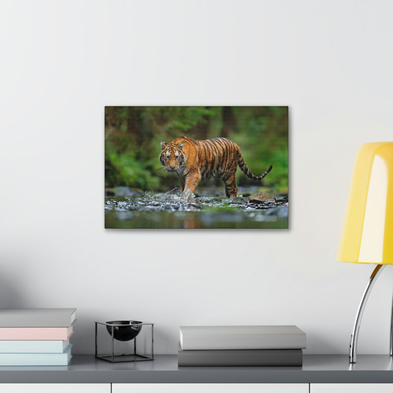 Impression d'art mural tigre chasse, H 12 po x l 18 po