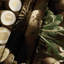 Tapisserie murale légumes Skirret-133633881