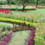 Garden Arch