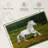 Shire Horse In The Meadow