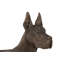 Great Dane, Standing , Bronze