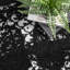 Animal Print Area Rug-579670214