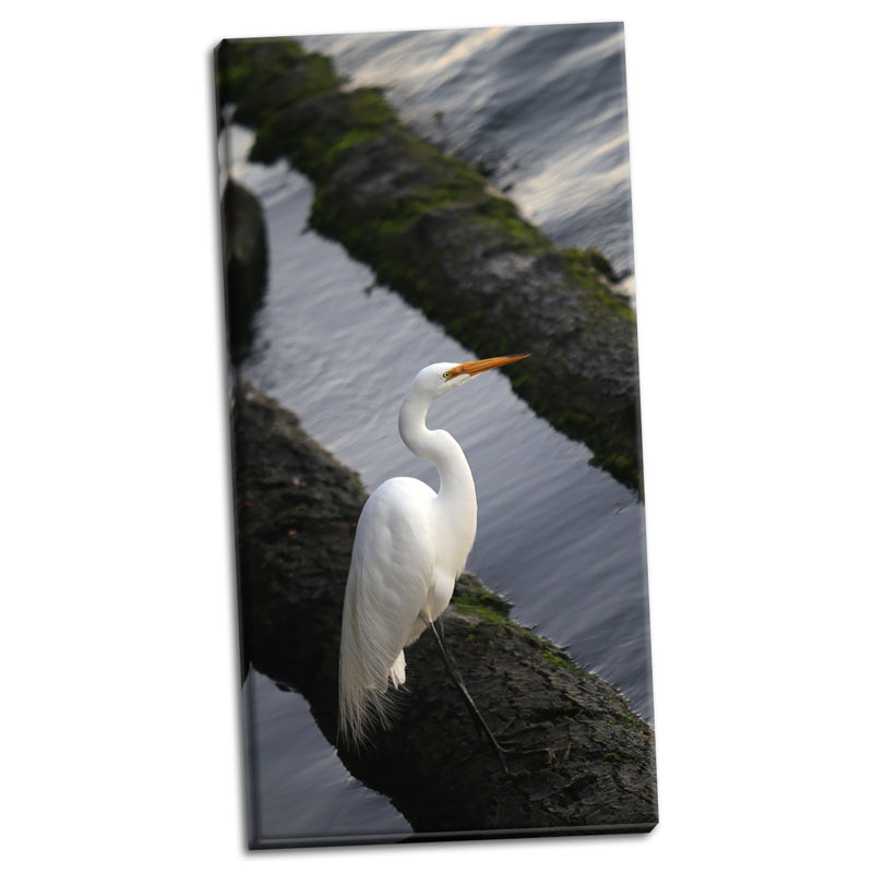 « white grues », reproduction de photo, H 36 po x l 18 po x P 0,75 po, Toile tendue