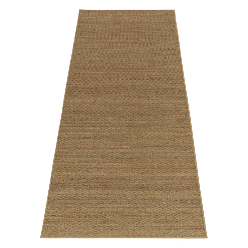 Area Rug in Brown