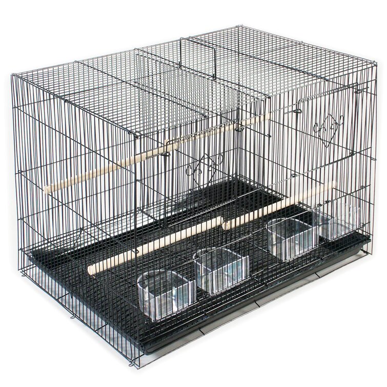 Tucker Murphy Pet™ Frew 16'' Steel Flat Top Breeder Bird Cage with